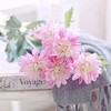 粉色大丽花10枝一扎 商品缩略图4