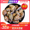 【冻品团购】无沙大花蛤500g/袋 商品缩略图0
