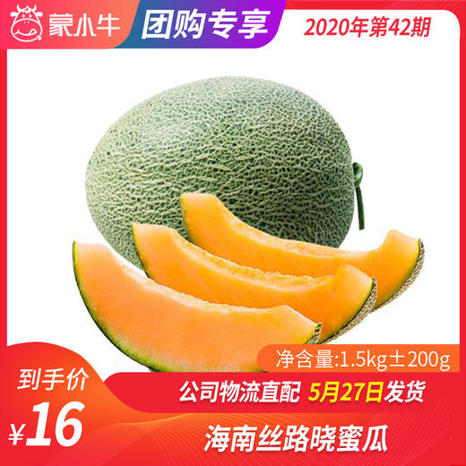 【水果团购】海南丝路晓蜜瓜1.5KG±200g 商品图0