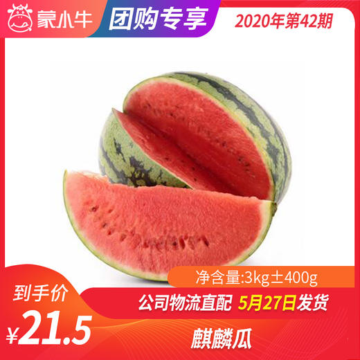【水果团购】麒麟瓜3KG±400g 商品图0