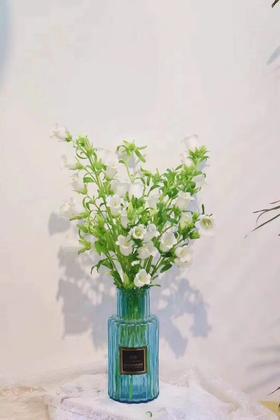 白色风铃花10枝一扎