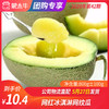 【水果团购】网红冰淇淋网纹瓜800g±100g 商品缩略图0