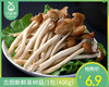 古田新鲜茶树菇/1包（400g） 商品缩略图0