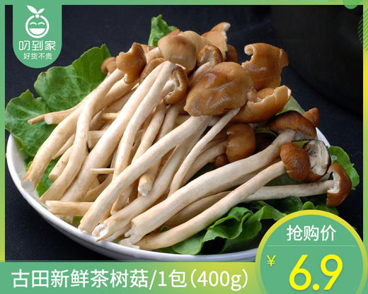 古田新鲜茶树菇/1包（400g） 商品图0