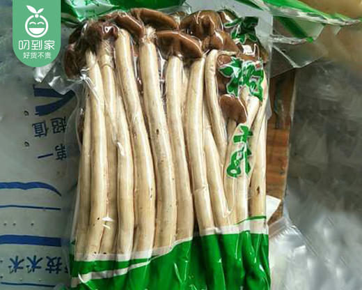 古田新鲜茶树菇/1包（400g） 商品图4
