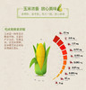 旌晶快餐营养玉米粉 400g/袋   绿色食品 早餐代餐粉 商品缩略图2
