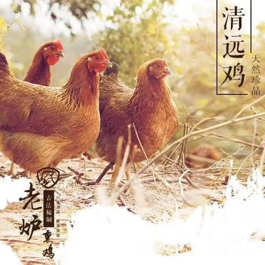 【周一代购】老炉熏鸡 商品图3