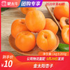 【水果团购】金太阳杏子1KG±200g 商品缩略图0