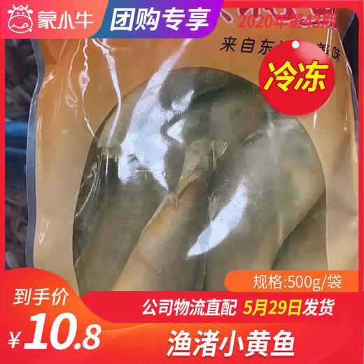 【冻品团购】渔渚小黄鱼 500g/袋 商品图0