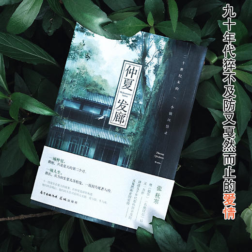 仲夏发廊:二十世纪末的小镇风情录 张秋寒著 九十年代夏天爱情长篇小说 花城出版社 商品图2