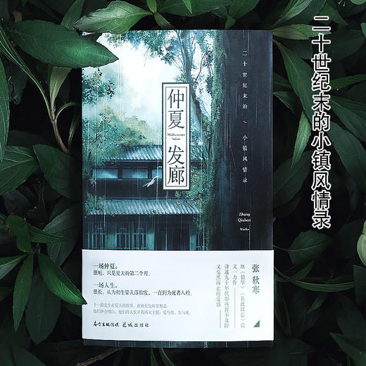 仲夏发廊:二十世纪末的小镇风情录 张秋寒著 九十年代夏天爱情长篇小说 花城出版社 商品图3
