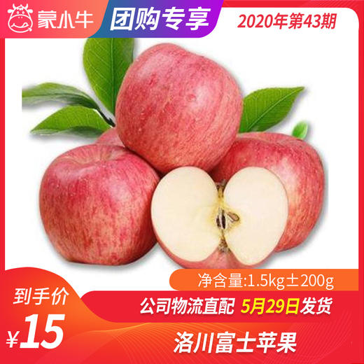 【水果团购】洛川富士苹果1.5KG±200g 商品图0