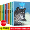 沈石溪动物小说 8册-带孩子进去奇妙的动物世界 学校指定阅读 商品缩略图1