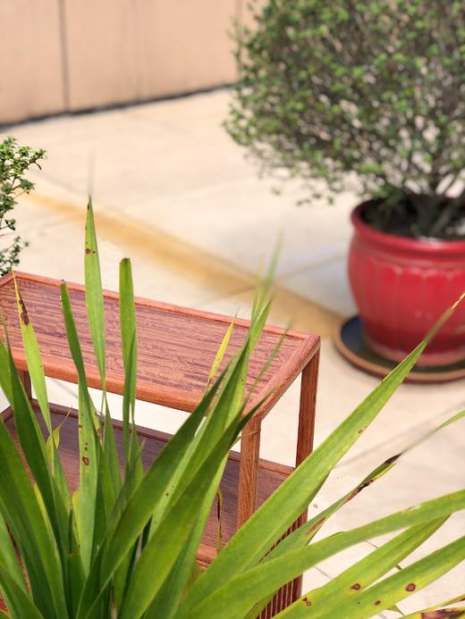 红桥红  家具严选  缅甸花梨(大果紫檀）  【小博古架、茶水架】 商品图7