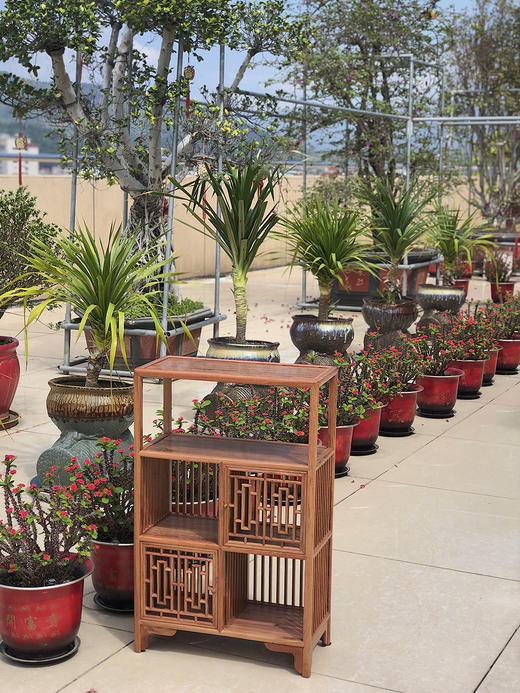 红桥红  家具严选  缅甸花梨(大果紫檀）  【小博古架、茶水架】 商品图2