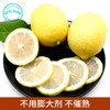 四川安岳绿色种植柠檬 香气浓郁 酸爽多汁  约2斤/份 商品缩略图2
