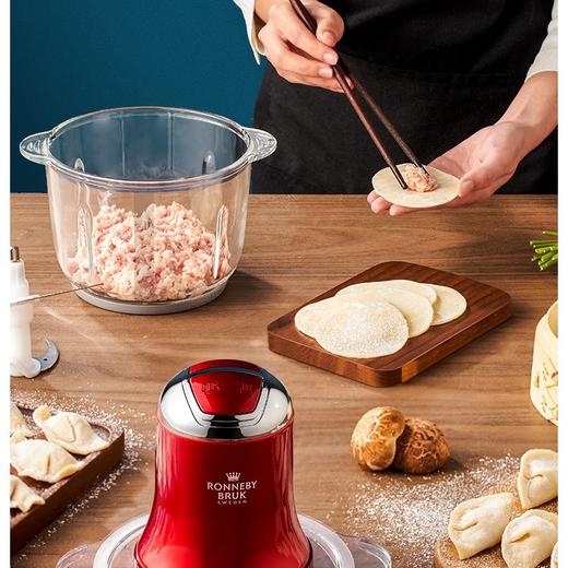 瑞徕德(Ronneby Bruk)食物料理机 商品图5