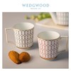 WEDGWOOD玮致活金粉年华蓝色骨瓷马克杯水杯杯子茶杯家用5C107408599 商品缩略图2