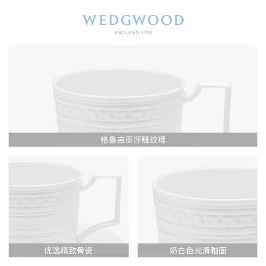 WEDGWOOD玮致活意大利浮雕浓缩咖啡杯碟骨瓷杯子碟子欧式小奢华5C104005123 商品图1