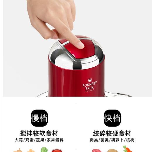 瑞徕德(Ronneby Bruk)食物料理机 商品图7