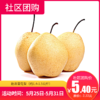 【社区团购】赵县雪花梨（约1.4-1.5公斤）  9065 商品缩略图0