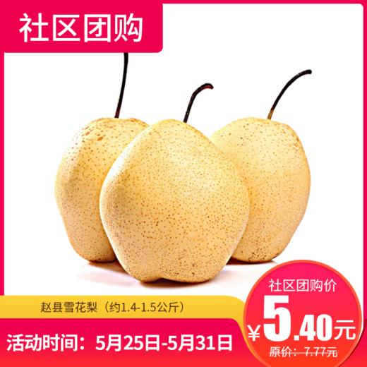 【社区团购】赵县雪花梨（约1.4-1.5公斤）  9065 商品图0