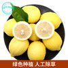 四川安岳绿色种植柠檬 香气浓郁 酸爽多汁  约2斤/份 商品缩略图0