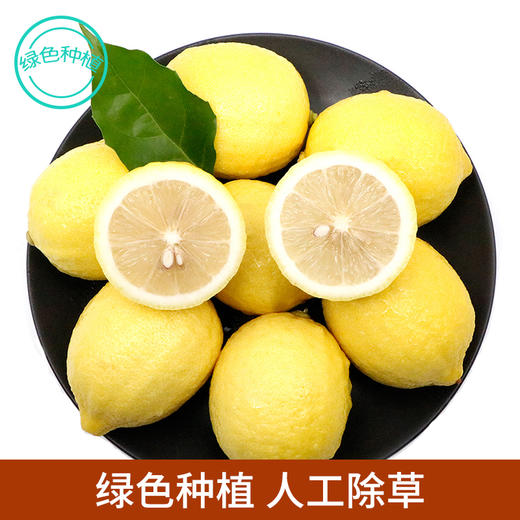 四川安岳绿色种植柠檬 香气浓郁 酸爽多汁  约2斤/份 商品图0