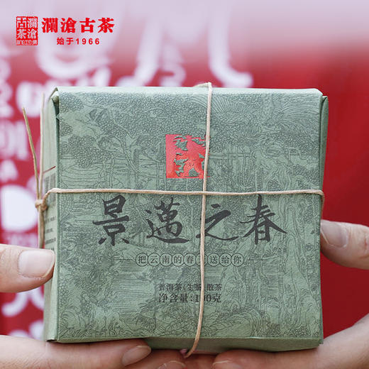 澜沧古茶2020年景迈之春景迈古树春茶散茶100g普洱茶生茶 商品图3