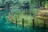 【肇庆】入住肇庆 4 钻酒店+5A 星湖景区【鼎湖山风景区、七星岩景区】休闲纯玩2天 商品缩略图3
