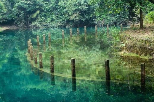 【肇庆】入住肇庆 4 钻酒店+5A 星湖景区【鼎湖山风景区、七星岩景区】休闲纯玩2天 商品图3