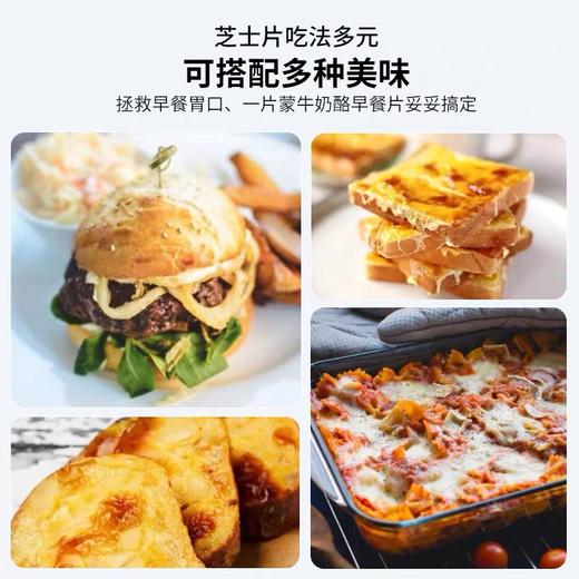 蒙牛芝士片200g早餐即食奶酪，保质期365天，需冷藏储存 商品图4