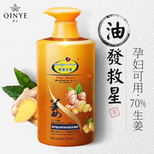 姜力四射——琴叶姜粒防脱洗发水 商品图1