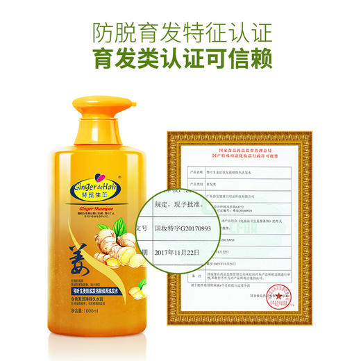 姜力四射——琴叶姜粒防脱洗发水 商品图2