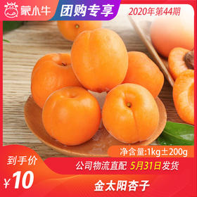 【水果团购】金太阳杏子1KG±200g