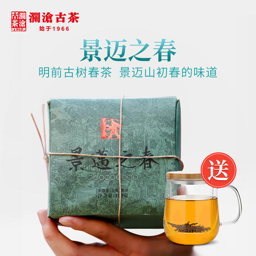 澜沧古茶2020年景迈之春景迈古树春茶散茶100g普洱茶生茶 商品图1