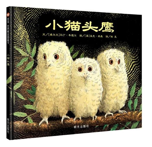 信谊 小猫头鹰 马丁·书德尔  3-6岁儿童绘本 正版 商品图0