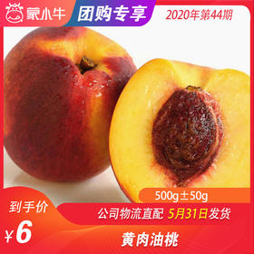 【水果团购】黄肉油桃500g±50g