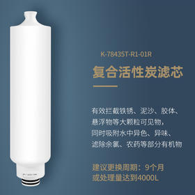 科勒大思丹滤芯 第一节滤芯 复合活性炭78433T-R1-01R