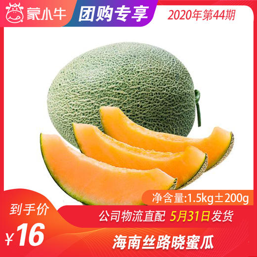【水果团购】海南丝路晓蜜瓜1.5KG±200g 商品图0