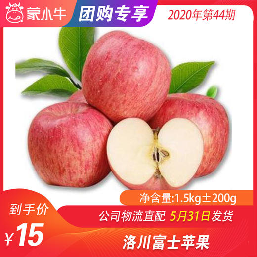 【水果团购】洛川富士苹果1.5KG±200g 商品图0