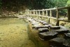 【肇庆】入住肇庆 4 钻酒店+5A 星湖景区【鼎湖山风景区、七星岩景区】休闲纯玩2天 商品缩略图4