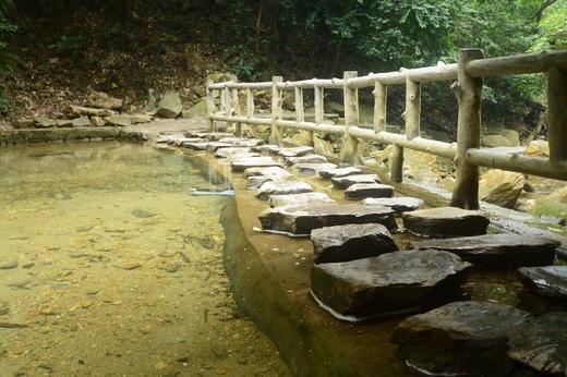 【肇庆】入住肇庆 4 钻酒店+5A 星湖景区【鼎湖山风景区、七星岩景区】休闲纯玩2天 商品图4