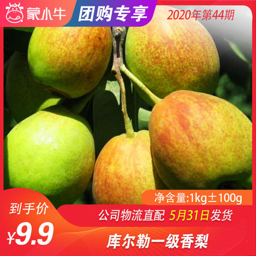 【水果团购】库尔勒香梨750g±50g 商品图0