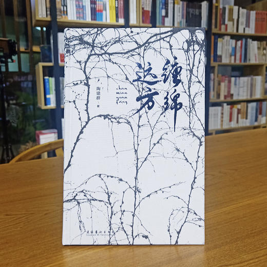 《缠绵远方》陶建群著（精装本） 商品图0