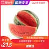【水果团购】麒麟瓜3KG±400g 商品缩略图0