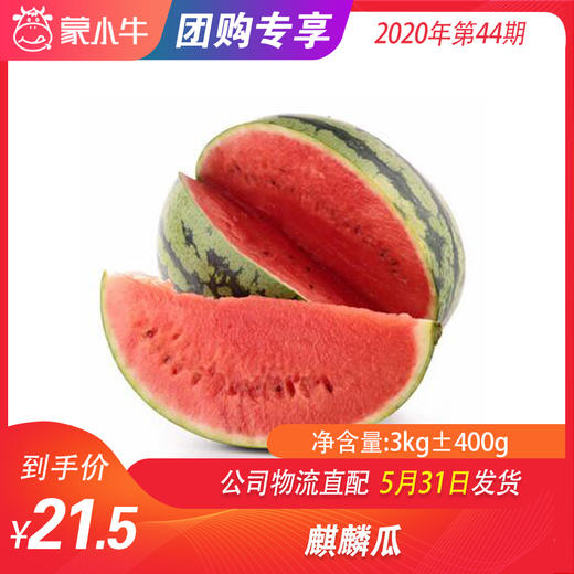 【水果团购】麒麟瓜3KG±400g 商品图0