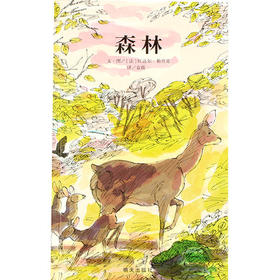 信谊   森林  2-3-4-5-6岁儿童绘本  正版