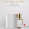 科勒大思丹滤芯 第一节滤芯 复合活性炭78433T-R1-01R 商品缩略图1