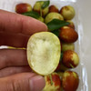 1斤当季鲜枣 商品缩略图3